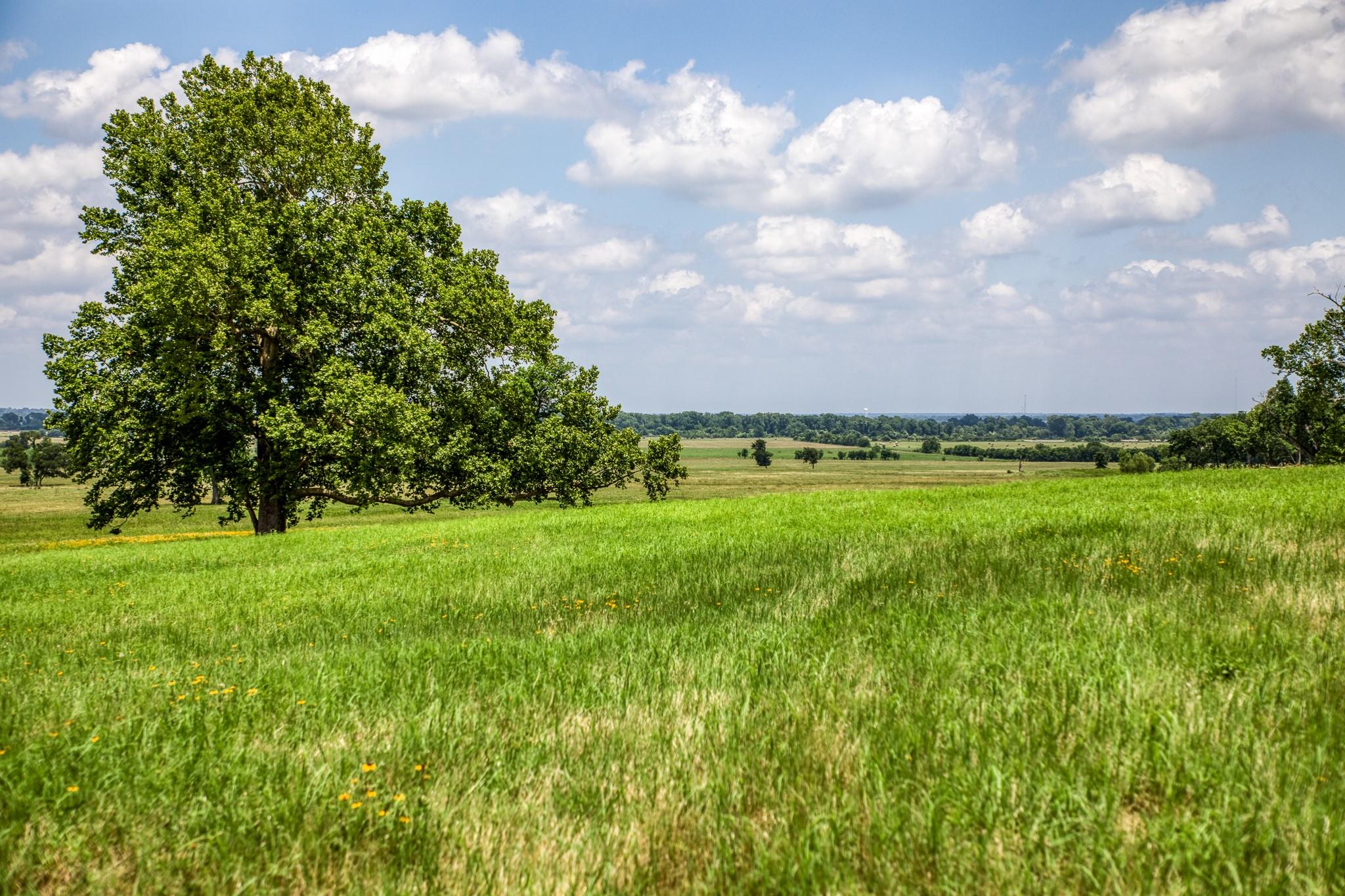 0000 Egypt Lane Lane