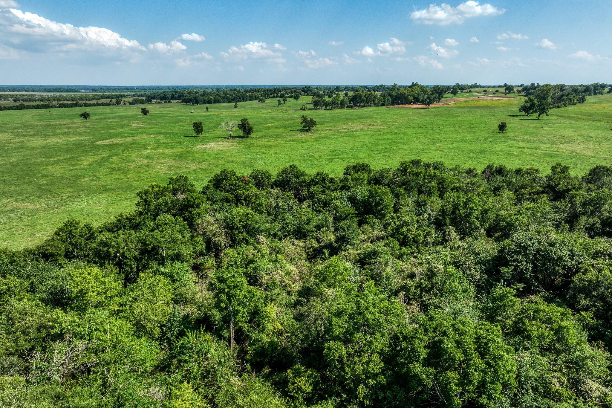 0000 Egypt Lane Lane