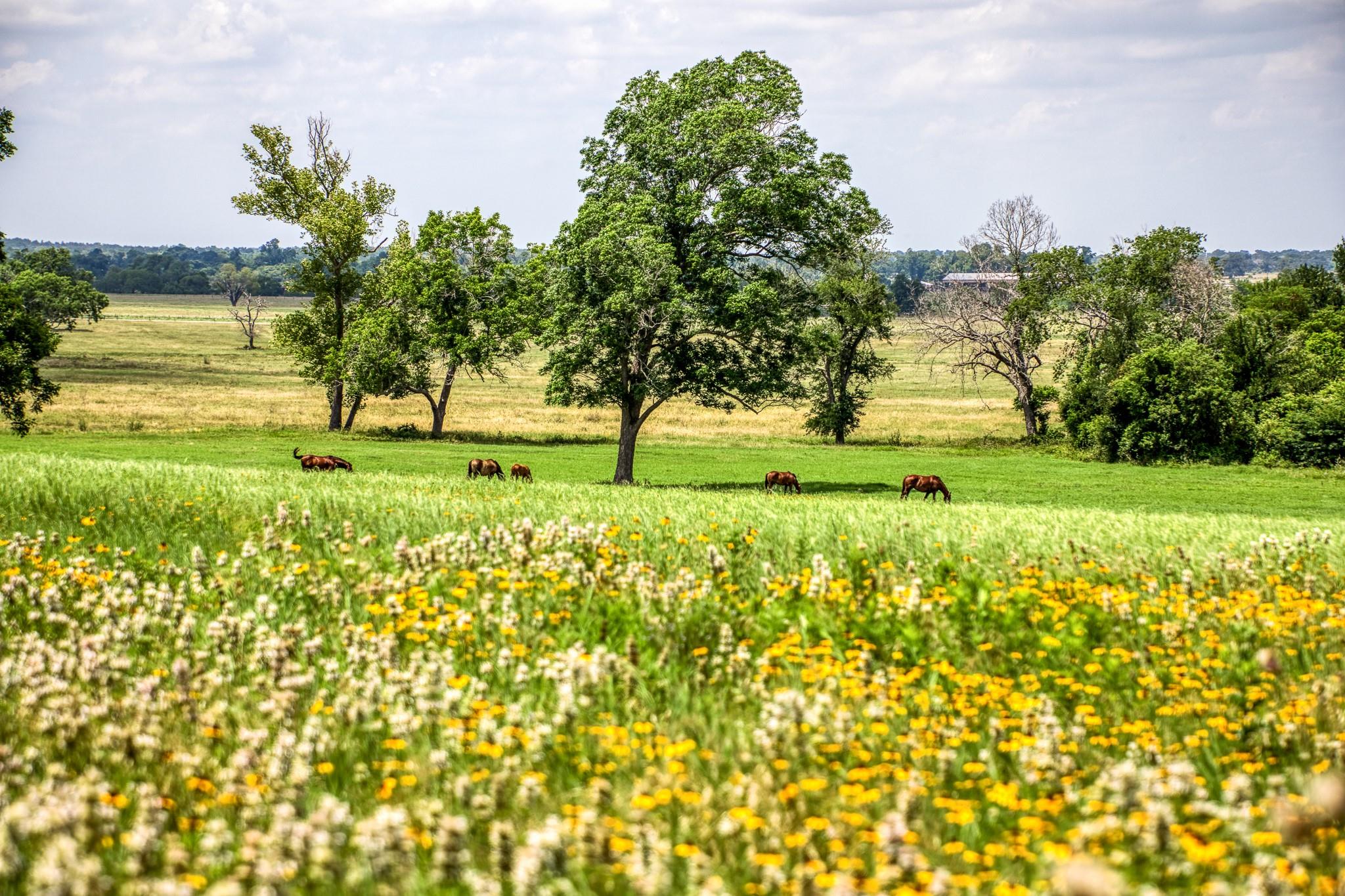 0000 Egypt Lane Lane