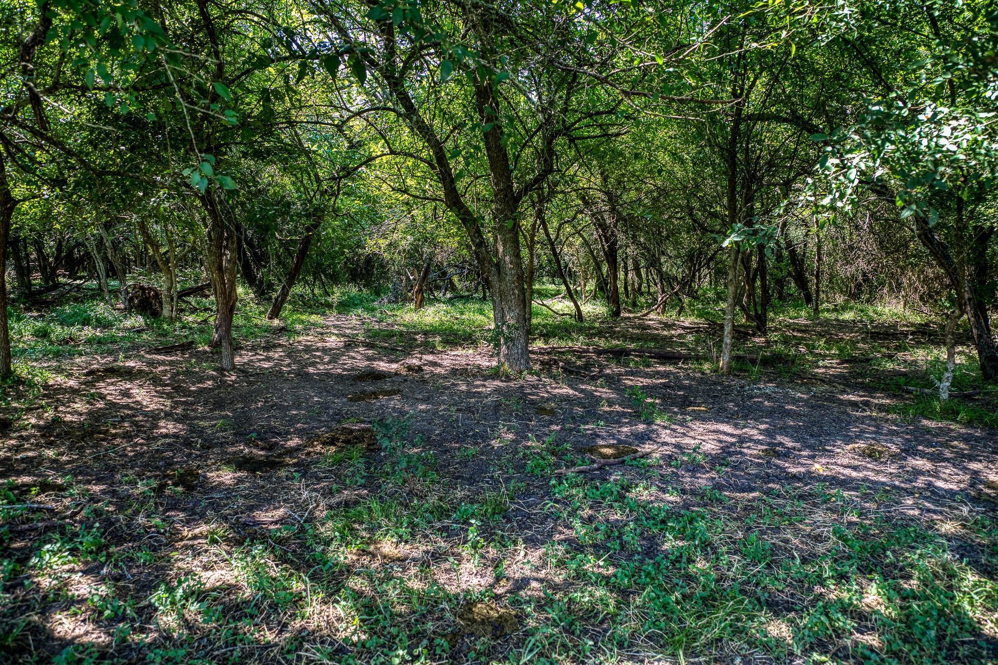 0000 Egypt Lane Lane