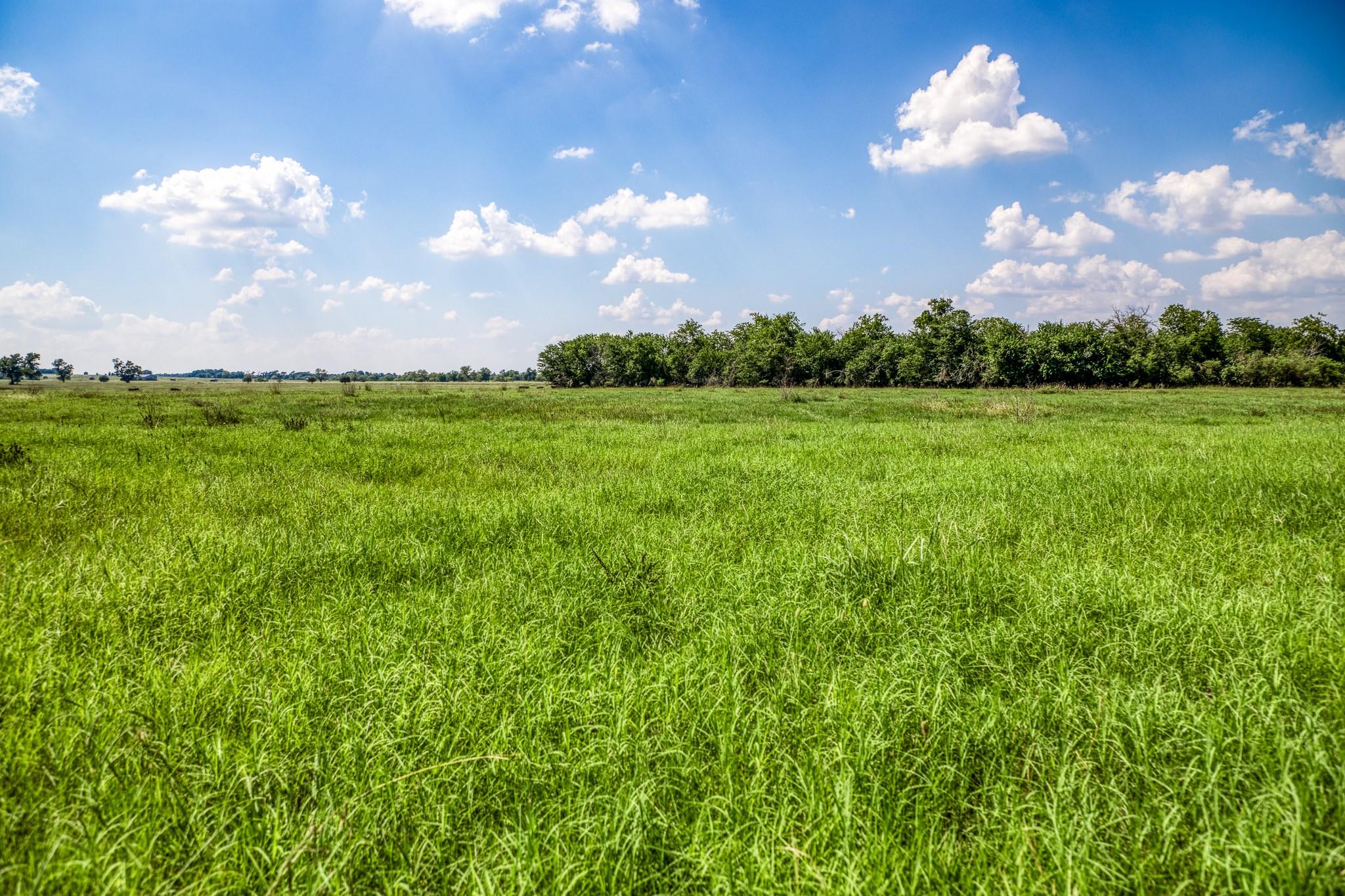 0000 Egypt Lane Lane