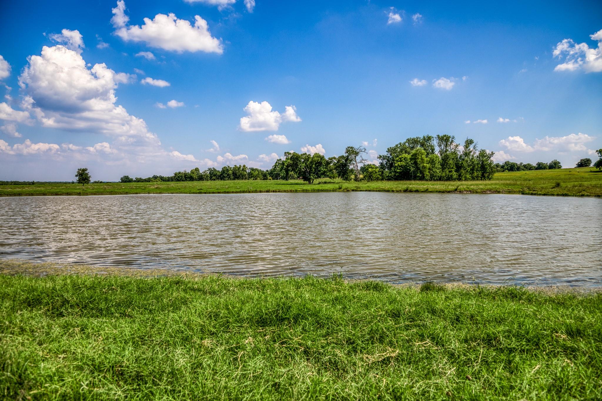 0000 Egypt Lane Lane