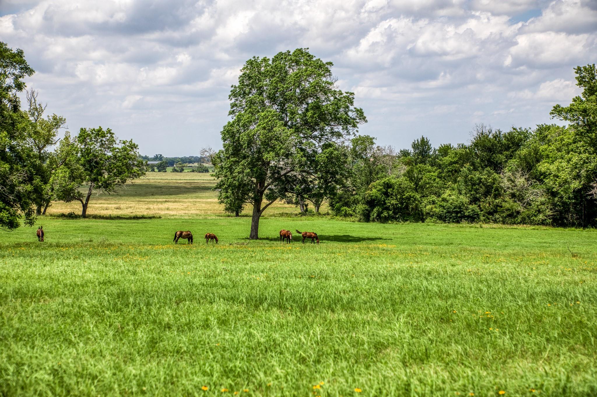 0000 Egypt Lane Lane