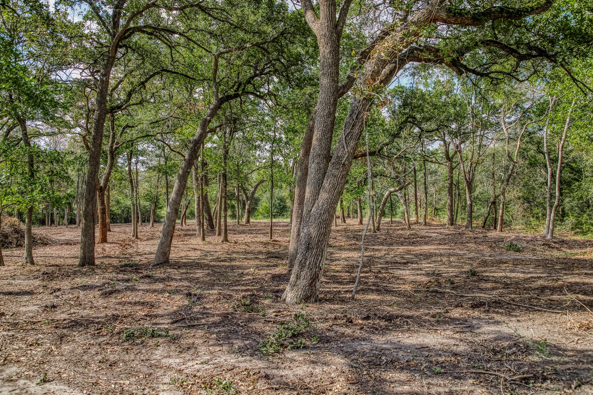 Tract 2 Sun Oil Road