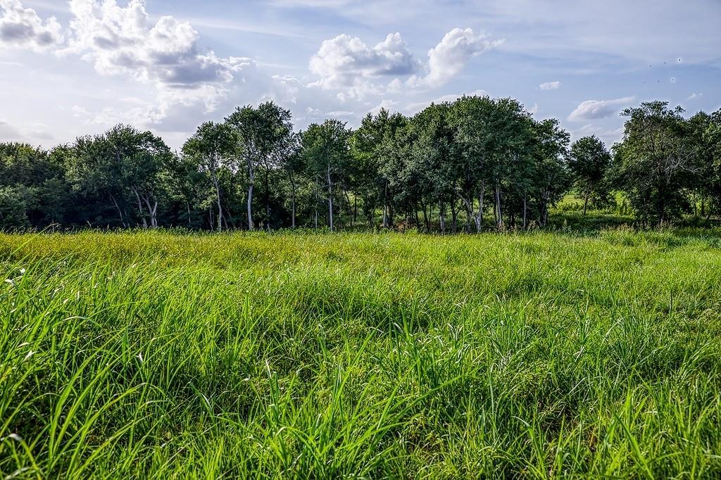 Lot 3 Hargrove Lane