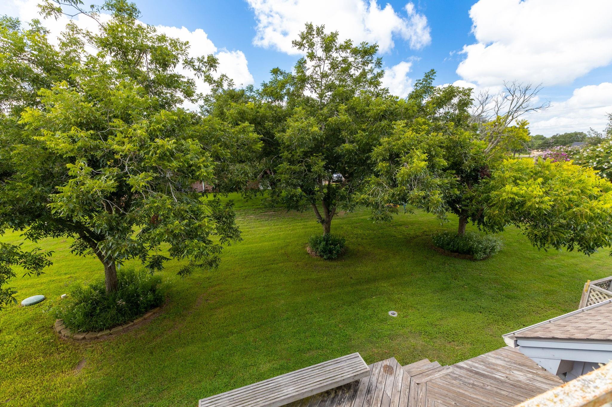 2909 Brandenburg Lane