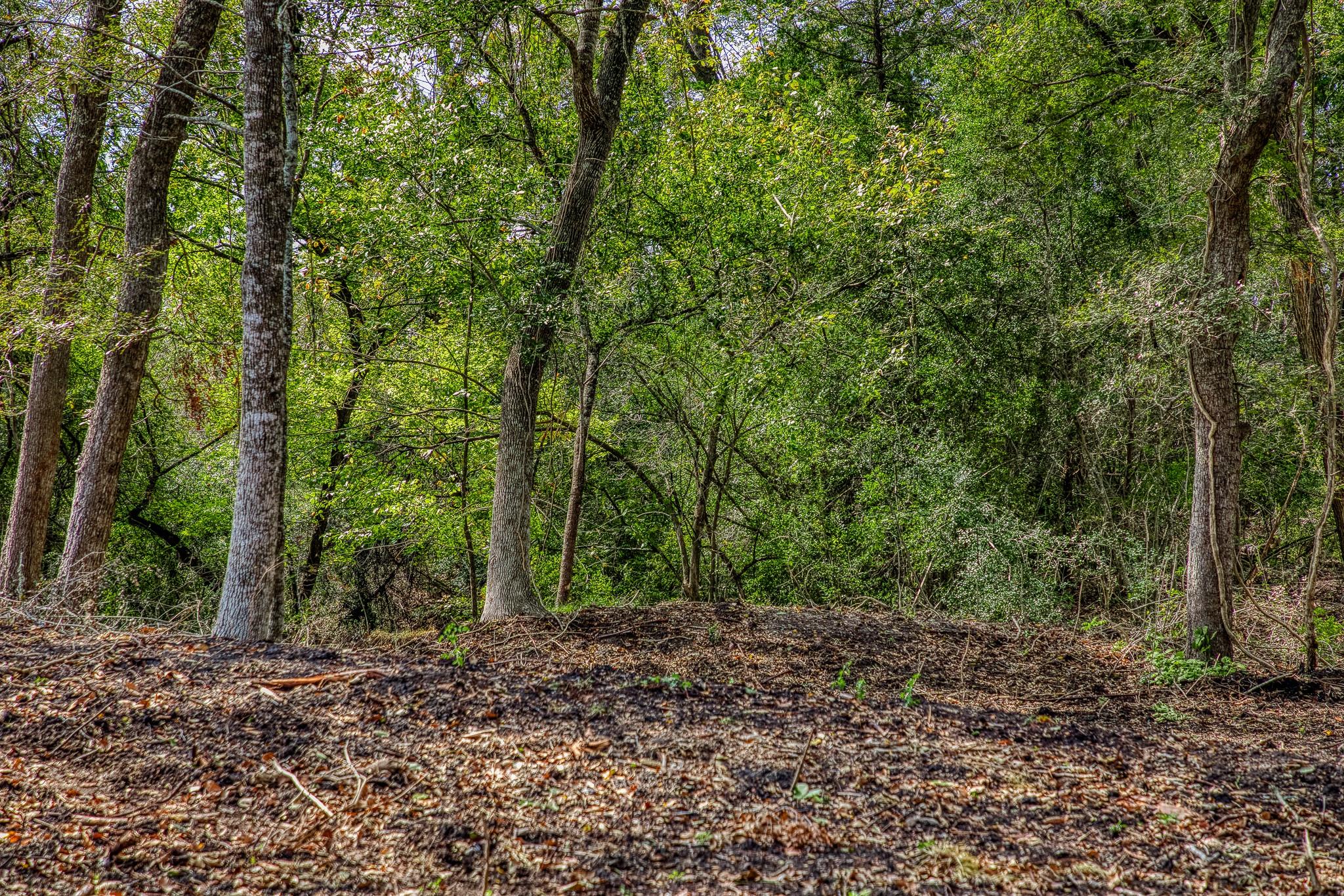 Tract 5 Sun Oil Road