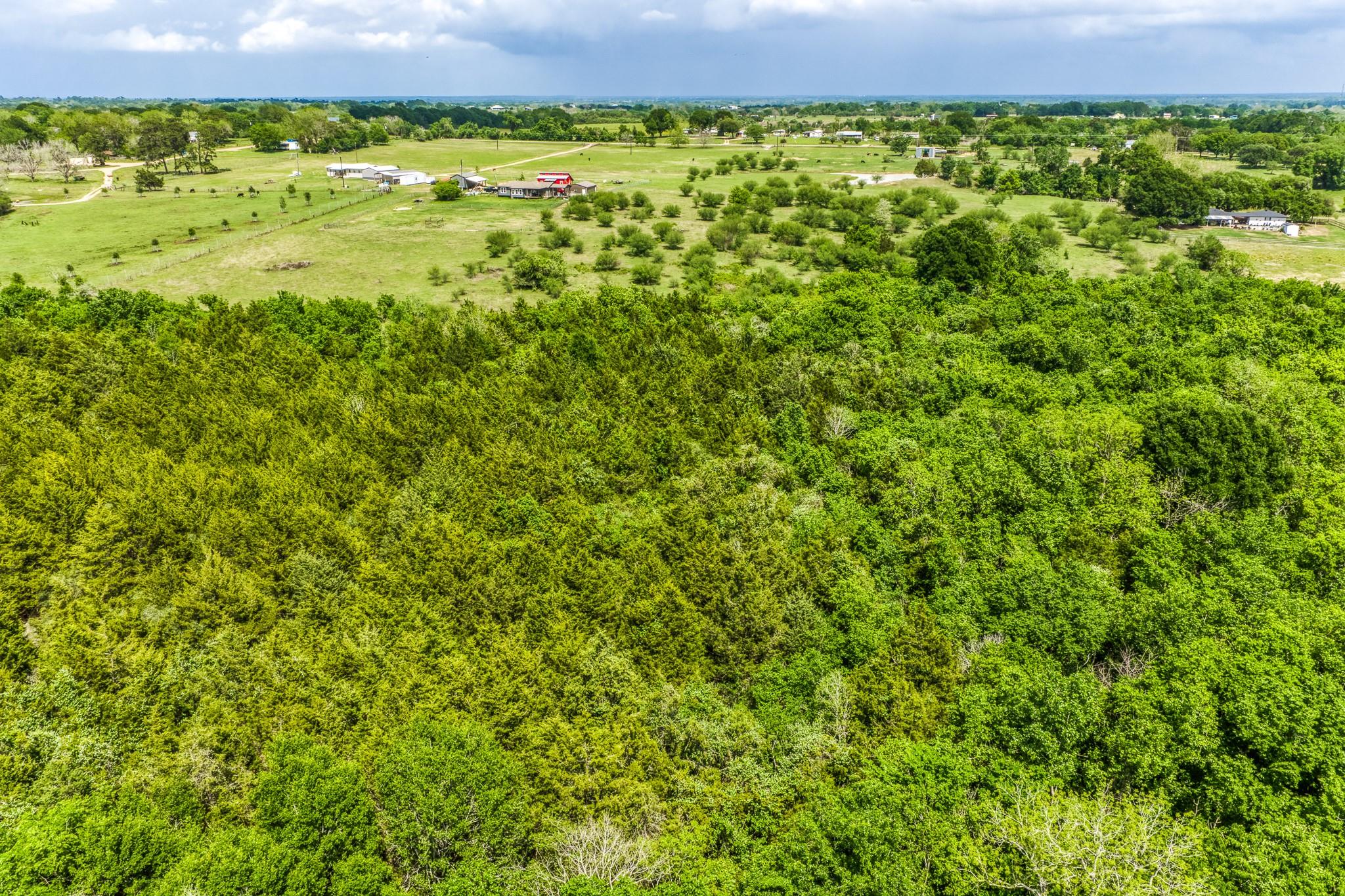 TBD Farm To Market 1371