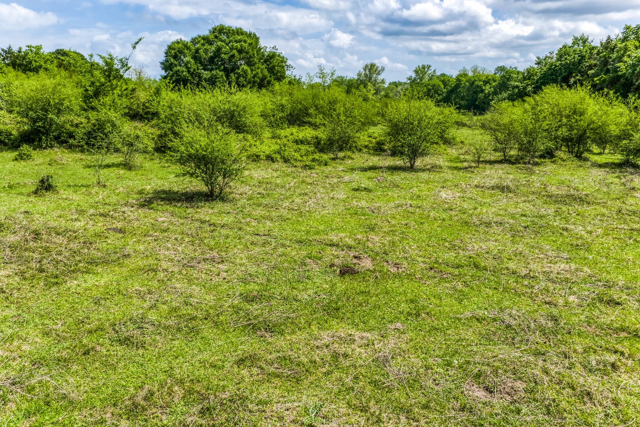 TBD Farm To Market 1371