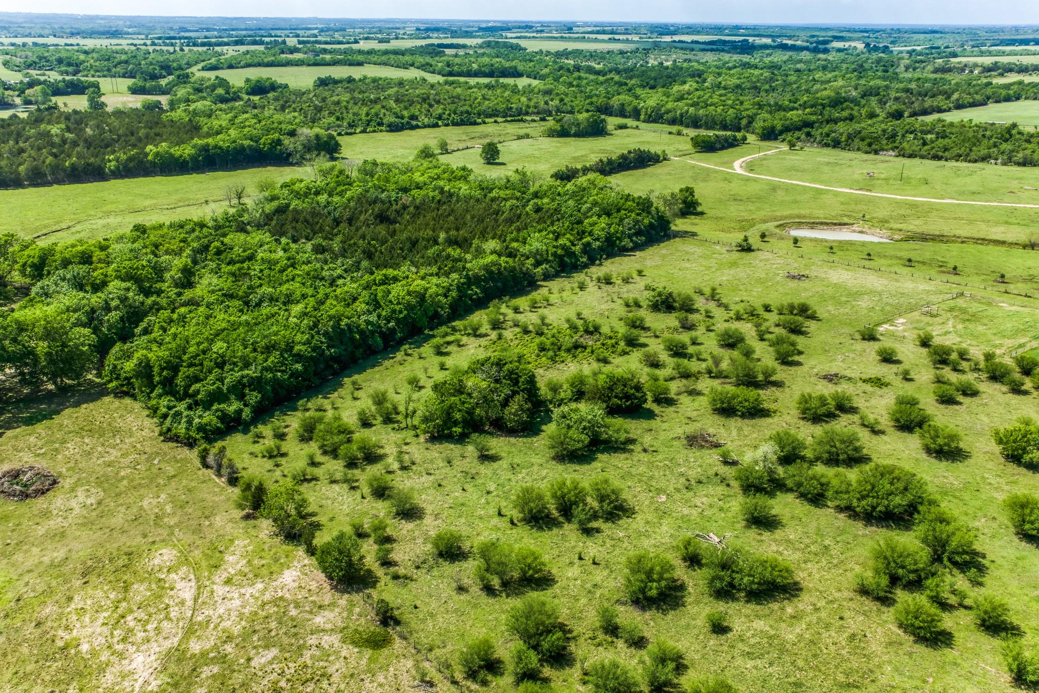 TBD Farm To Market 1371