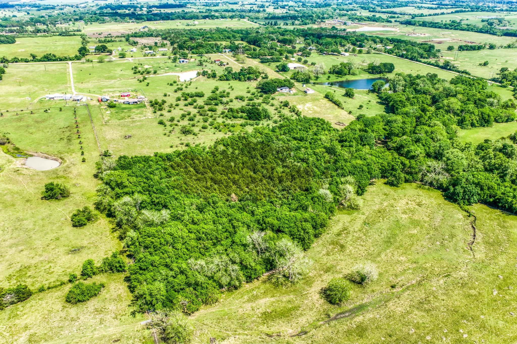 TBD Farm To Market 1371