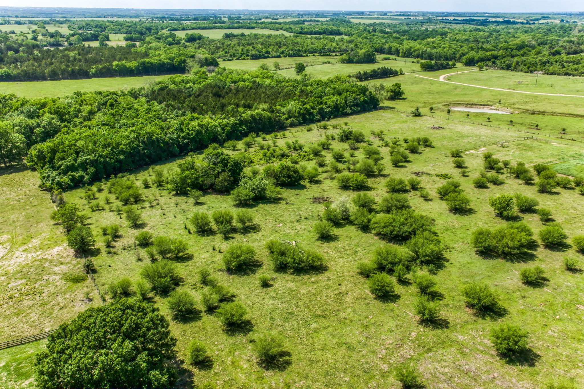 TBD Farm To Market 1371