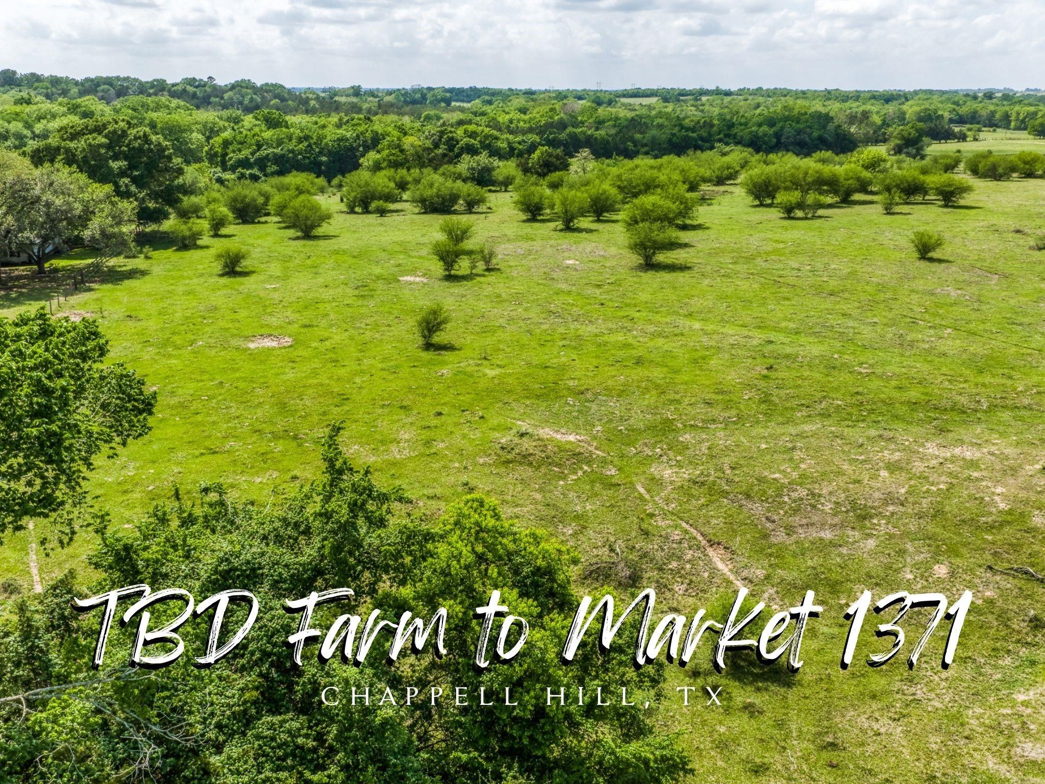 TBD Farm To Market 1371