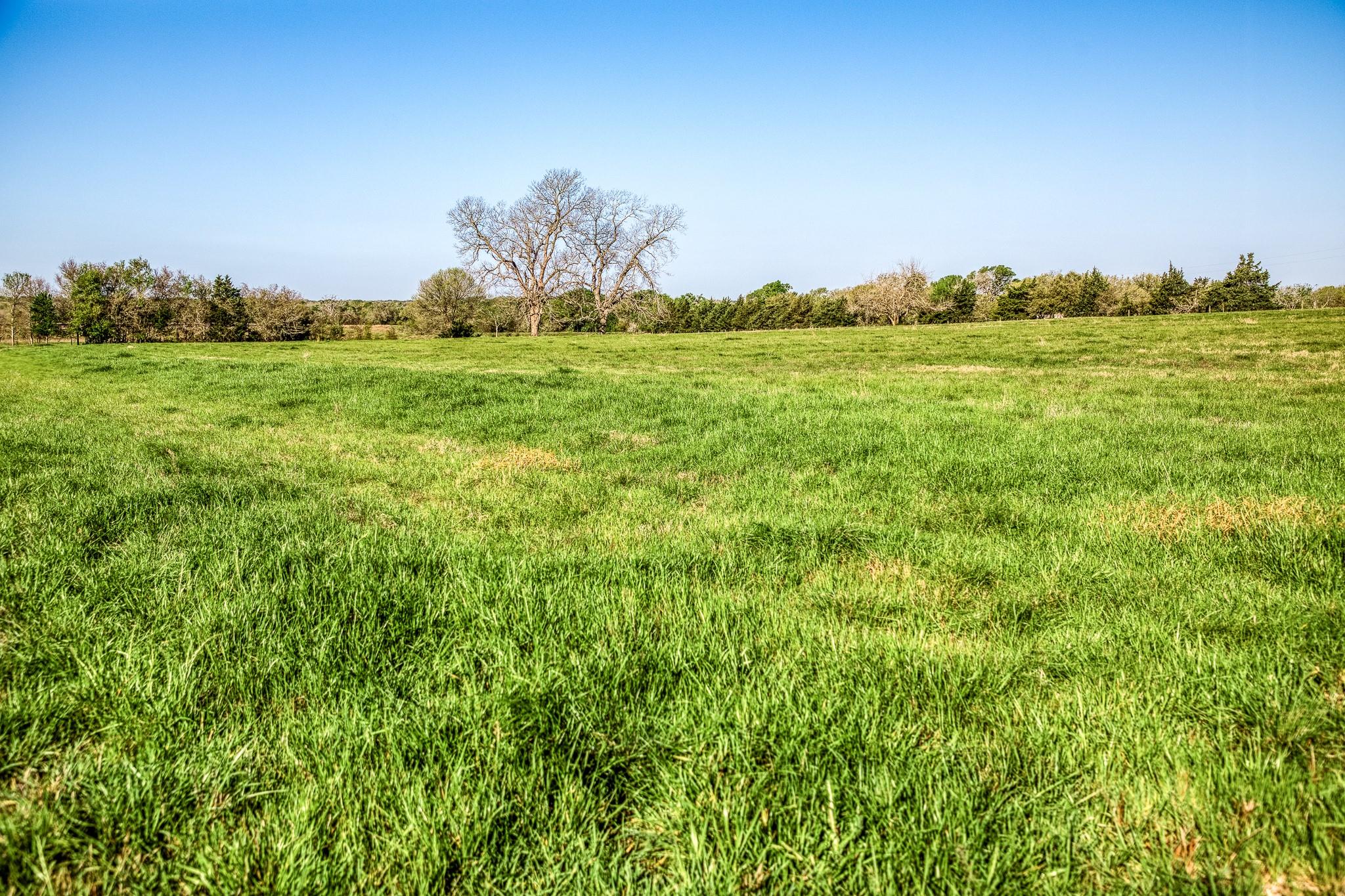 Approx 20 Acres Field Crest Lane