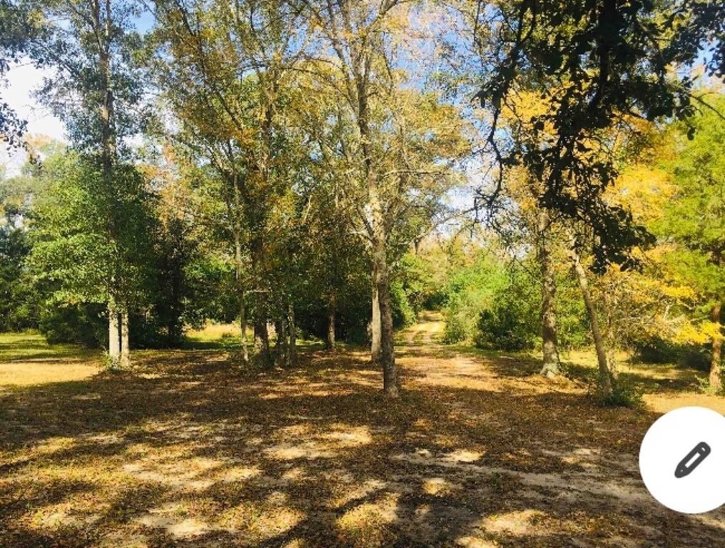 11950 Husemann Road