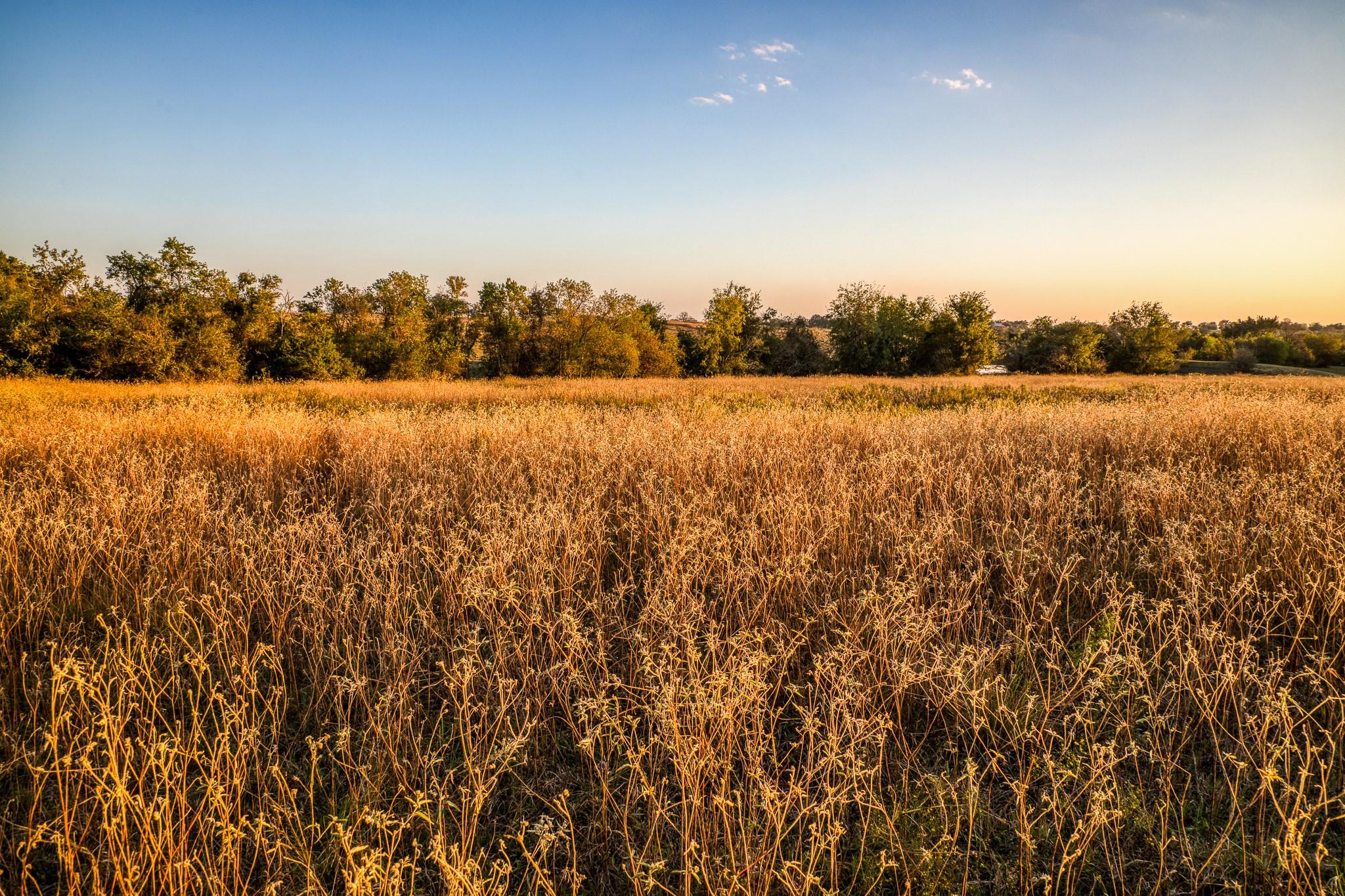 TBD Pleasant Hill School Road
