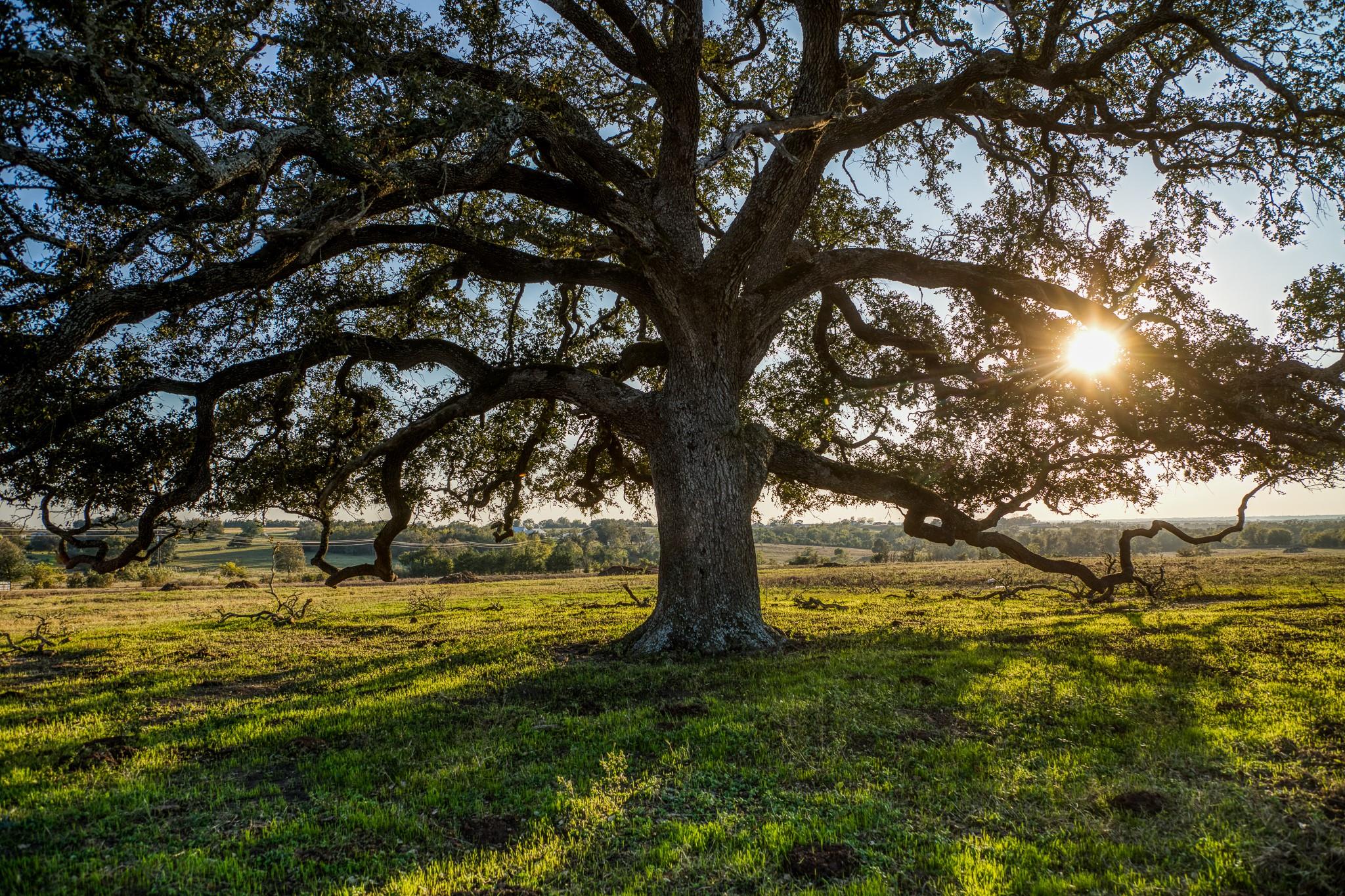 TBD Pleasant Hill School Road