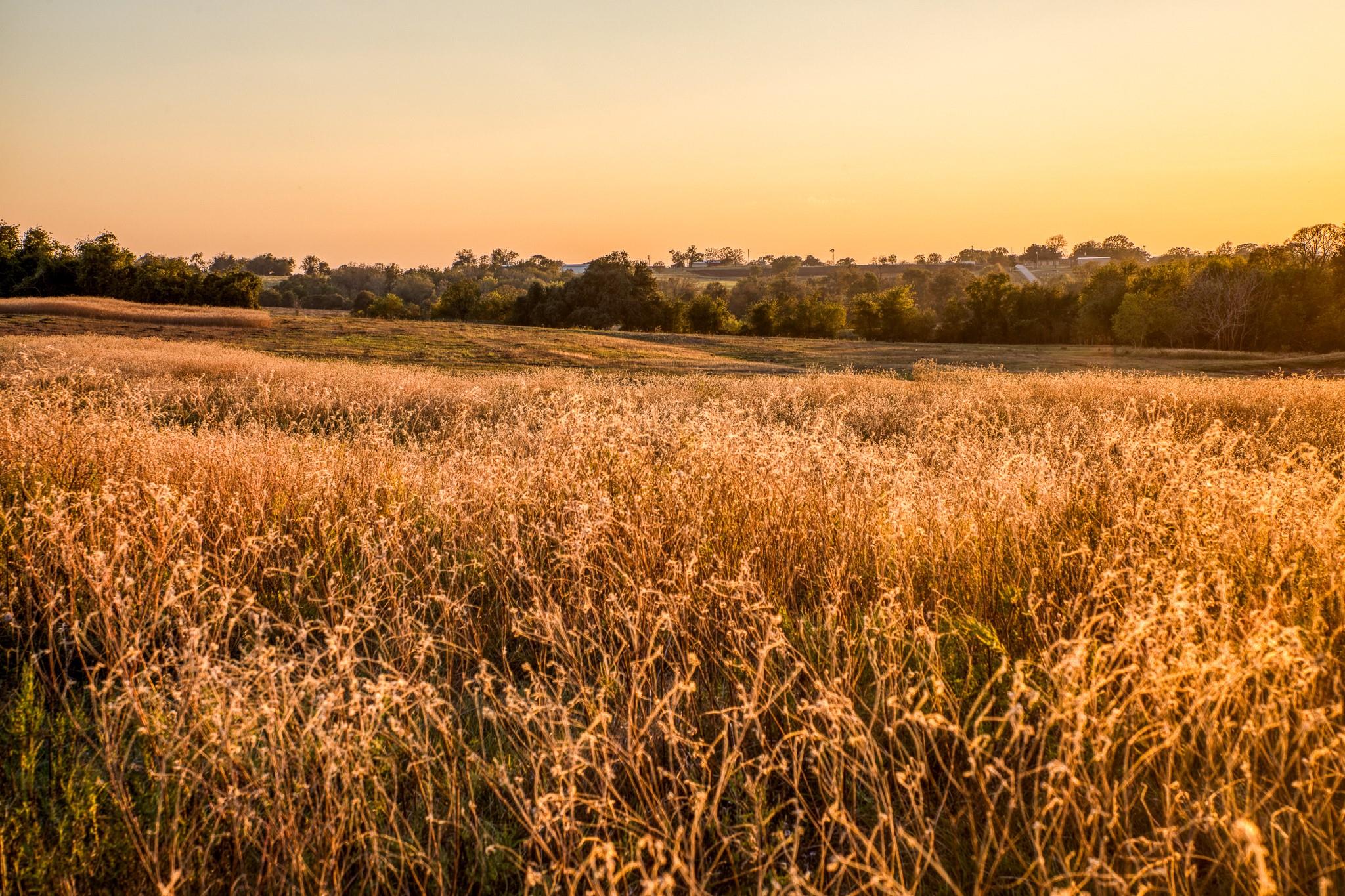 TBD Pleasant Hill School Road