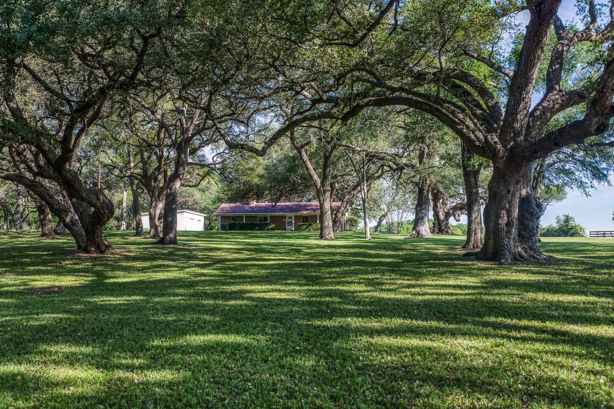Tract 6 - 8145 Fm 390 E