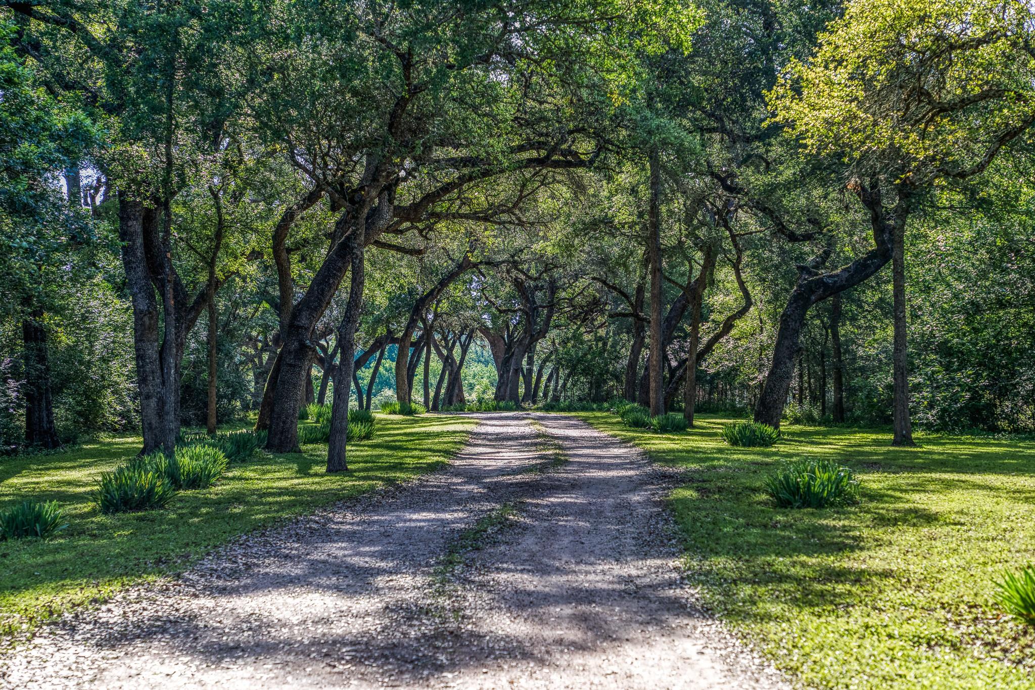 Tract 6 - 8145 Fm 390 E