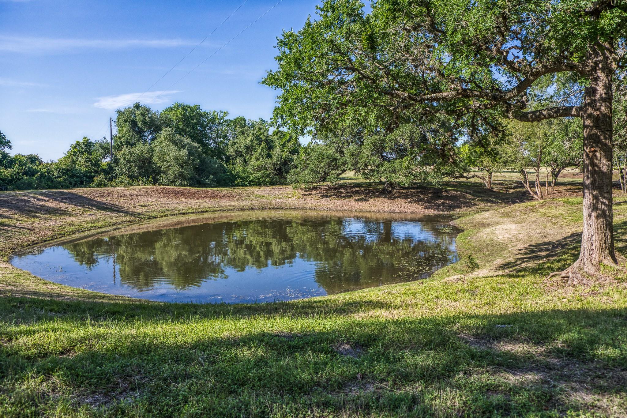Tract 6 - 8145 Fm 390 E