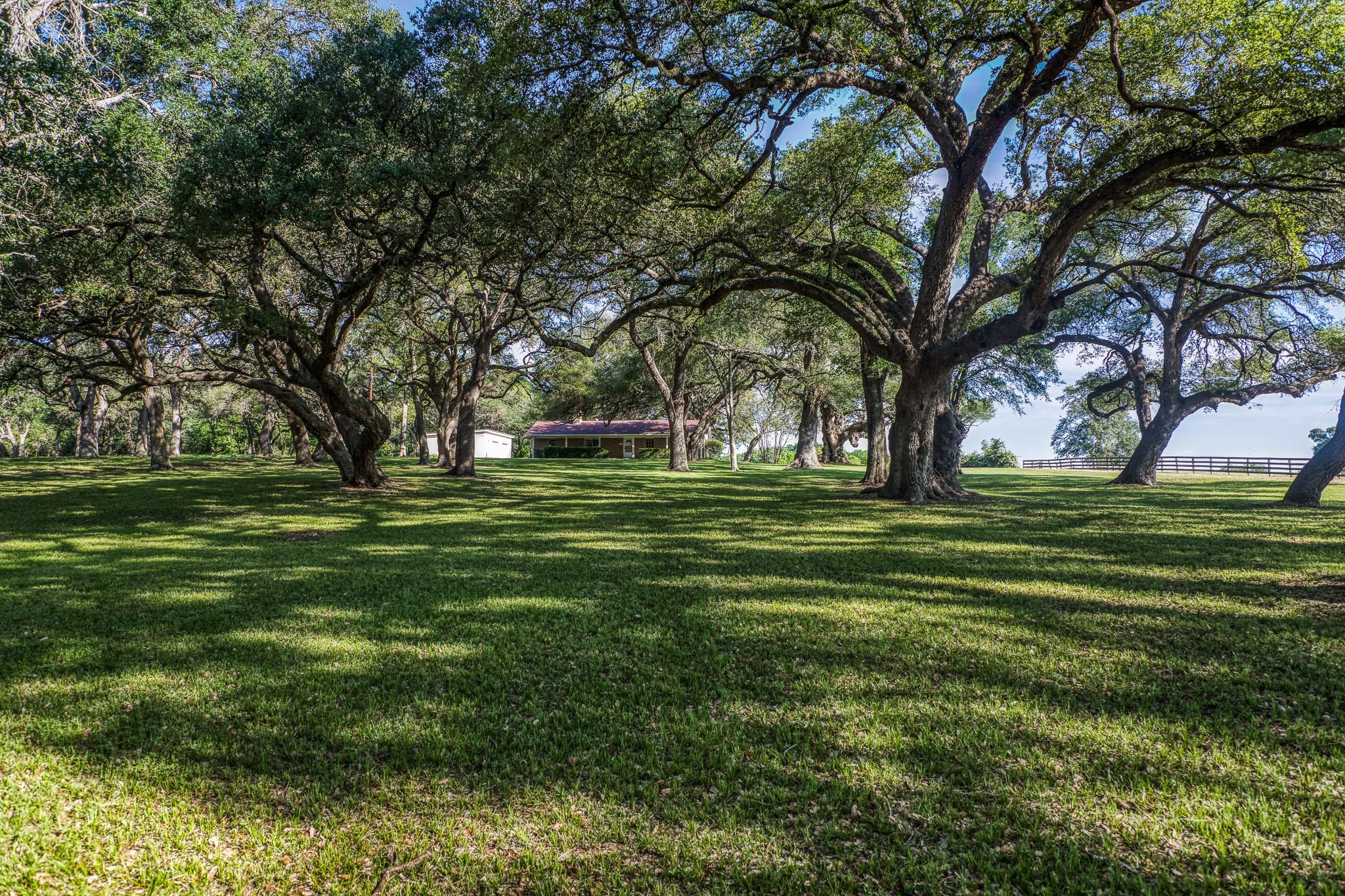 Tract 6 - 8145 Fm 390 E