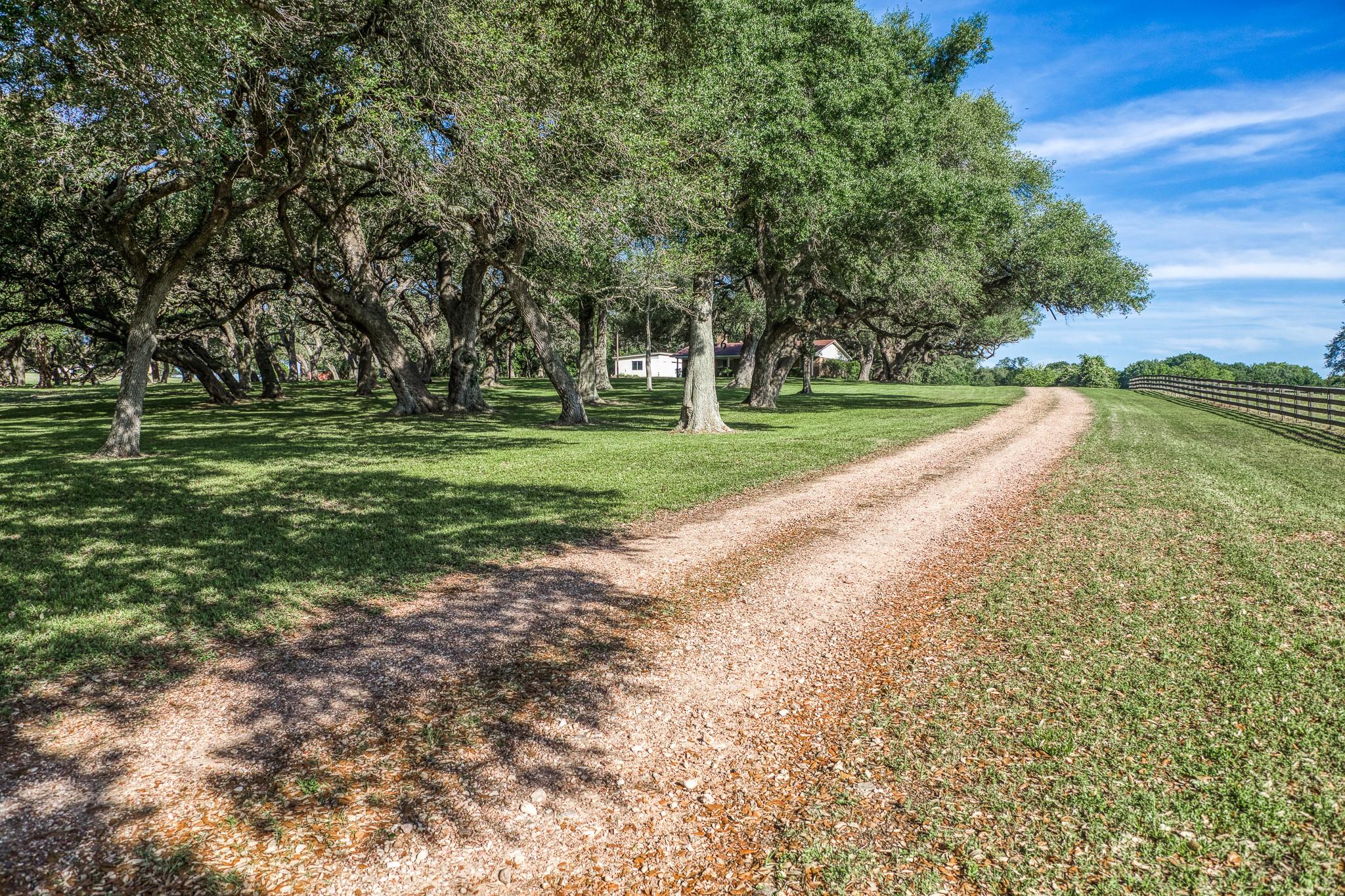 Tract 6 - 8145 Fm 390 E