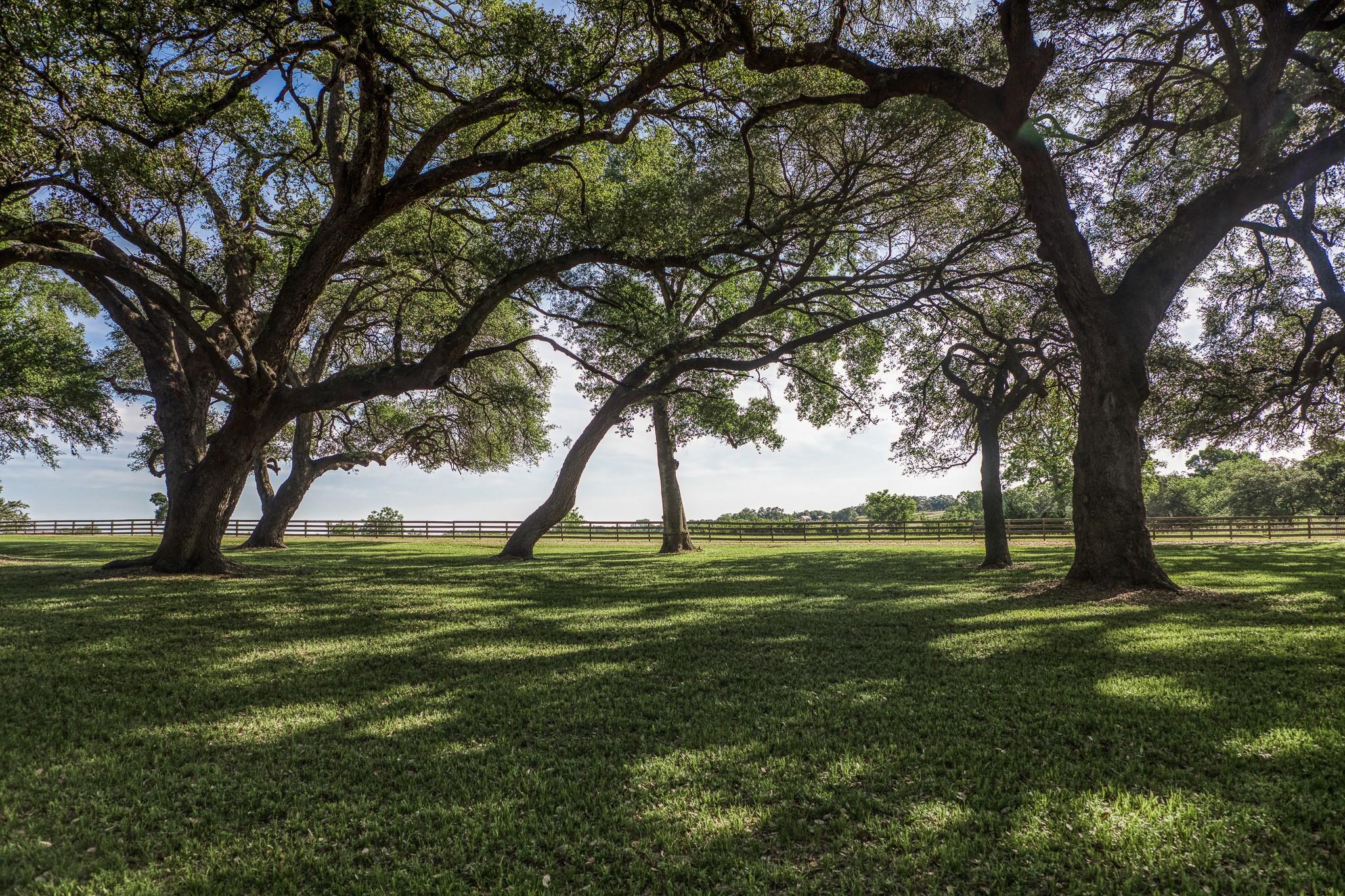 Tract 6 - 8145 Fm 390 E