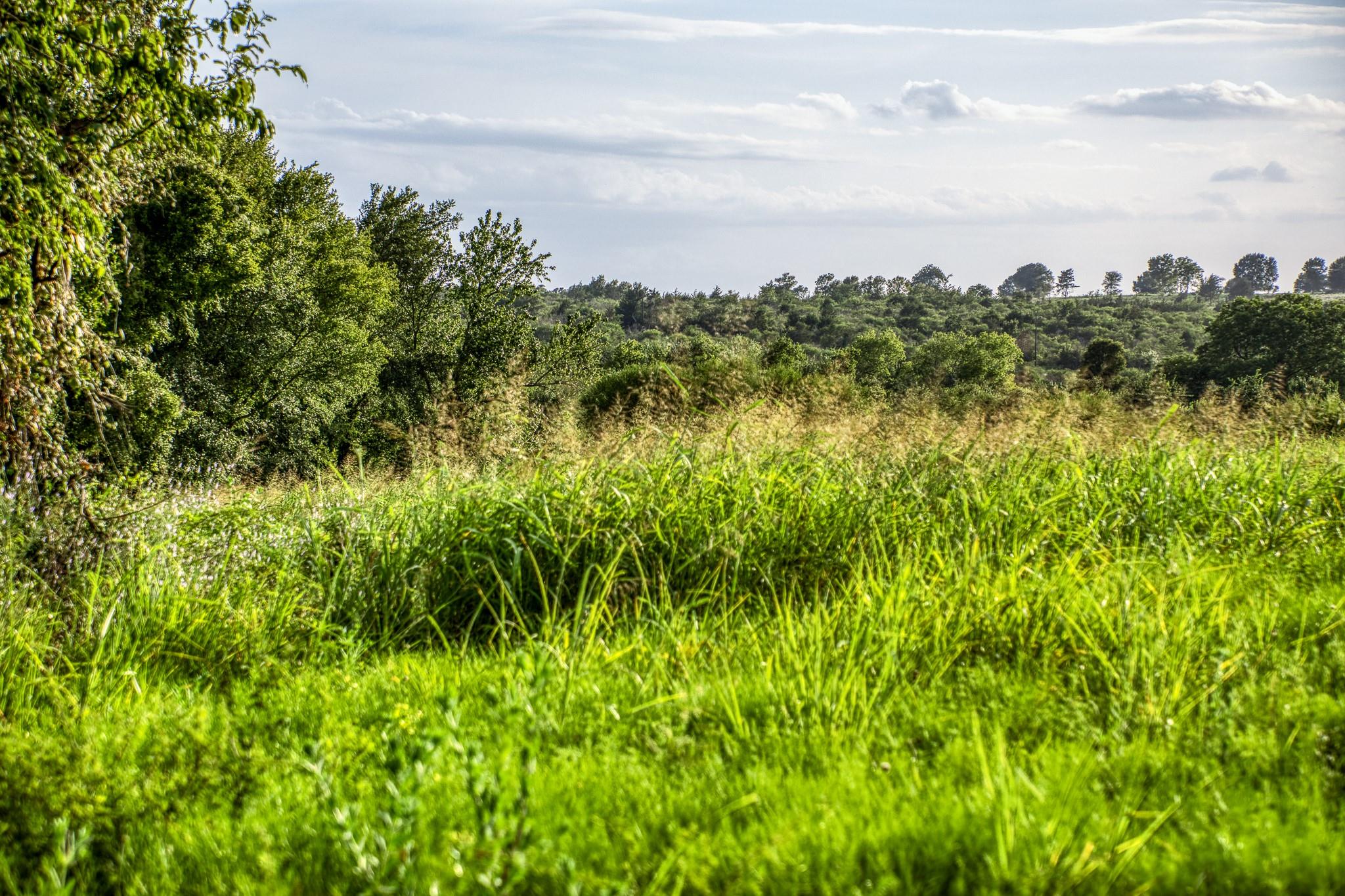 LOT 9 Hargrove Lane