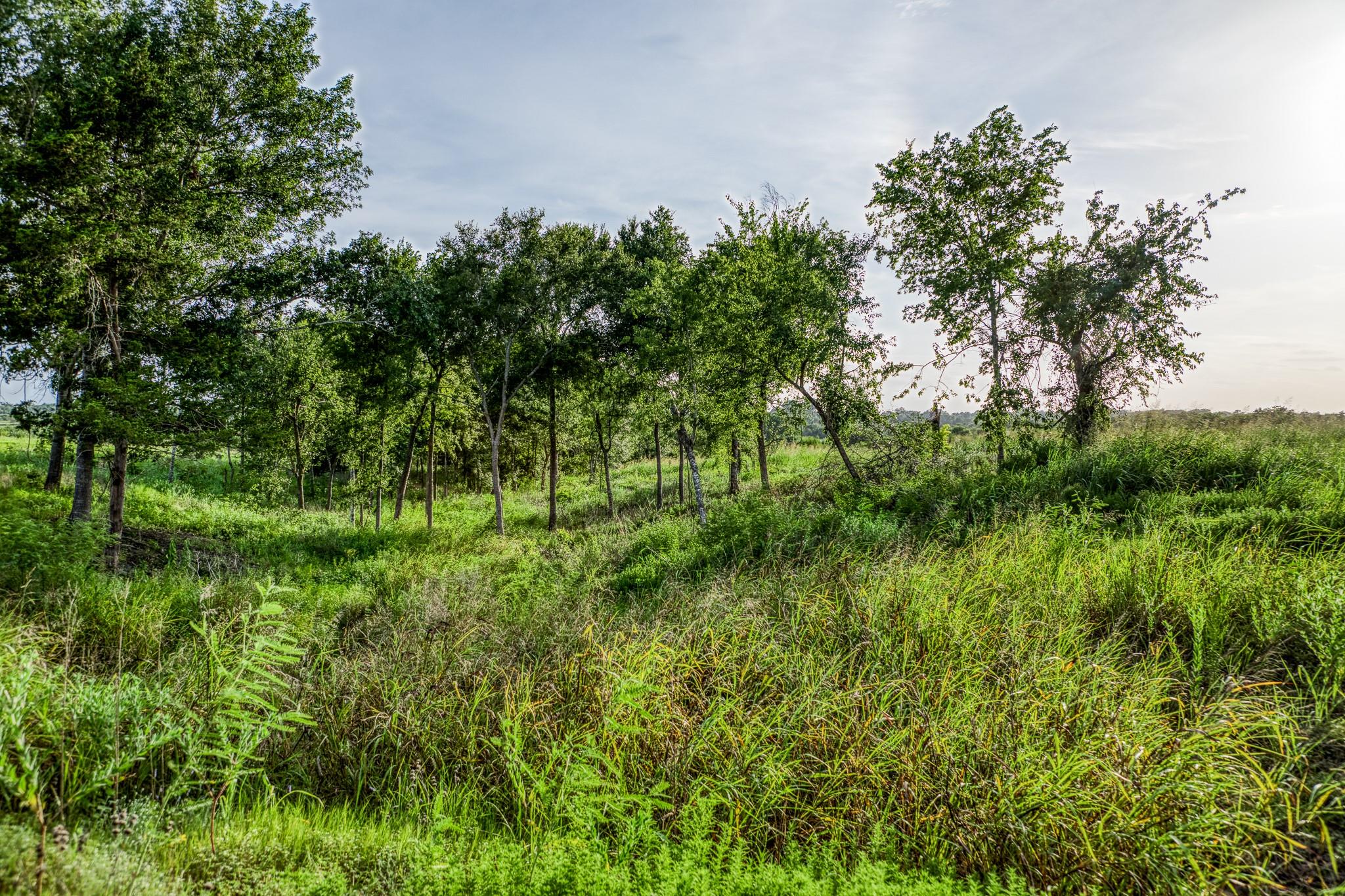 LOT 9 Hargrove Lane