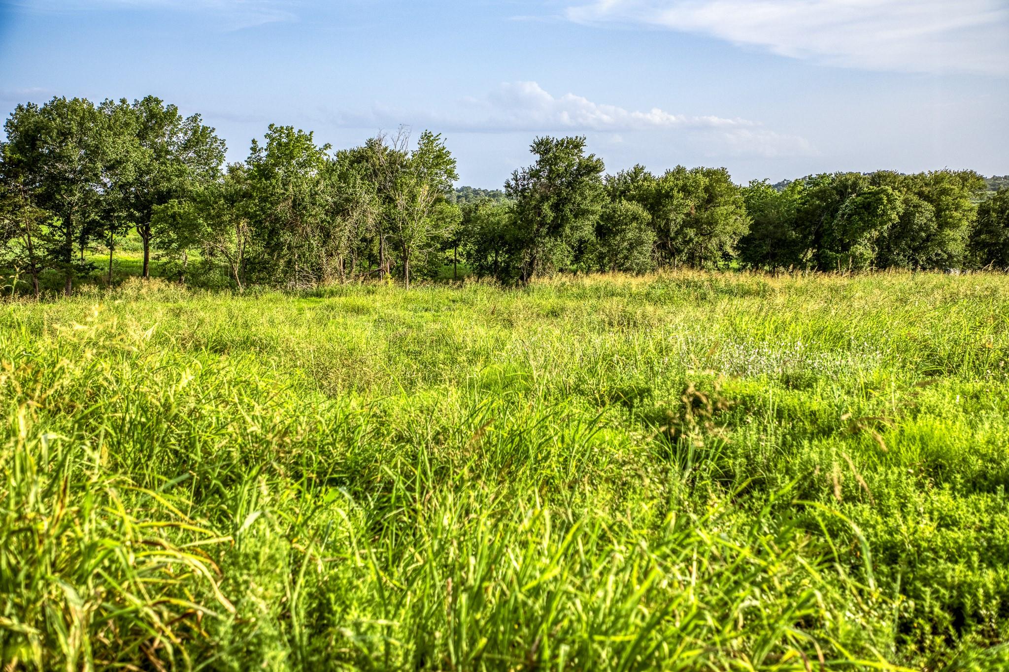 LOT 9 Hargrove Lane