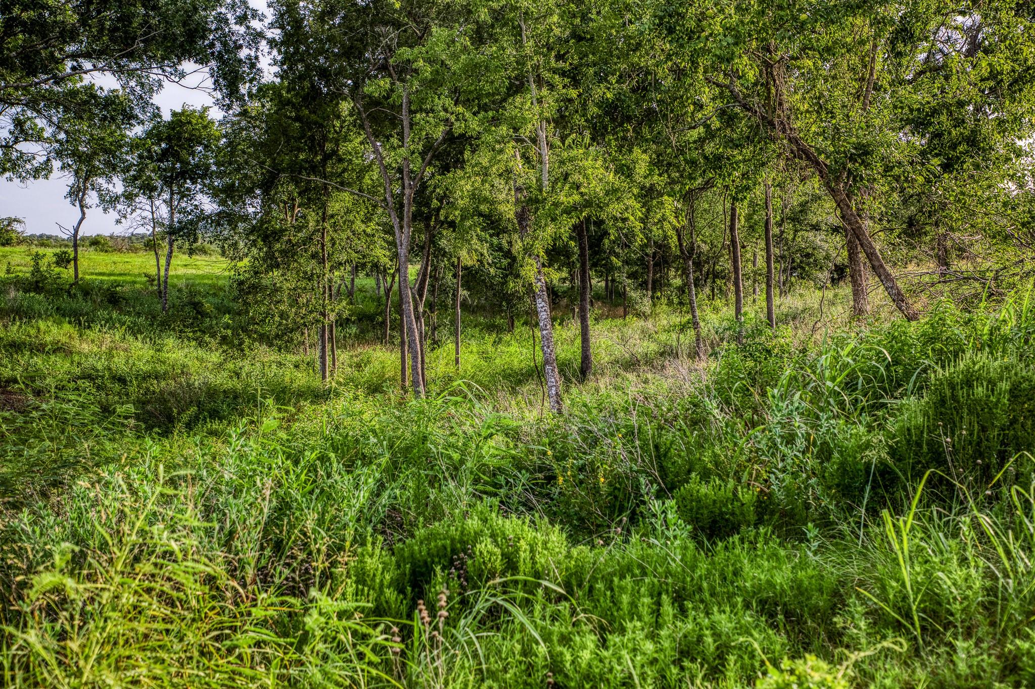 LOT 9 Hargrove Lane