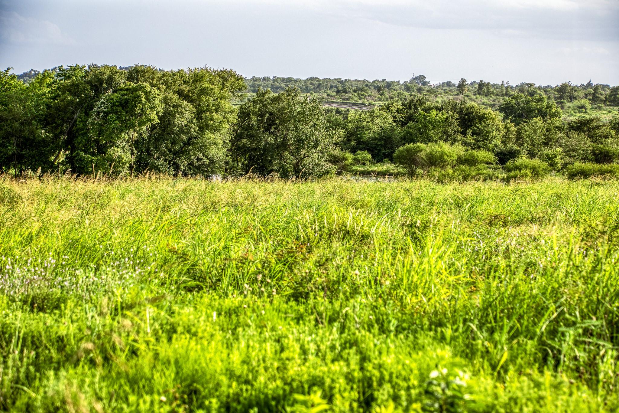 LOT 9 Hargrove Lane