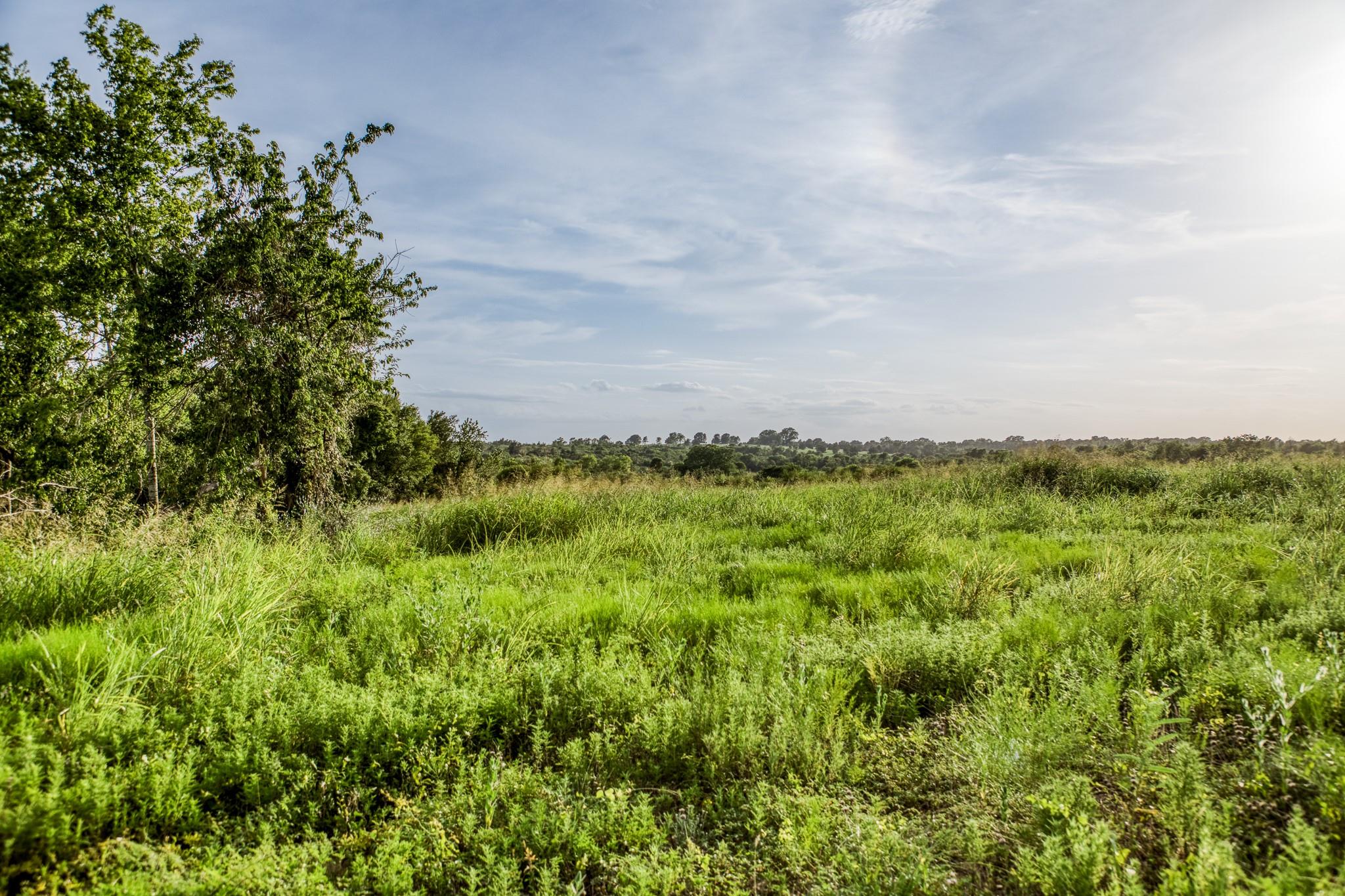 LOT 9 Hargrove Lane