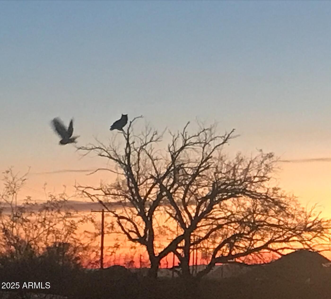 14747 W SCORPIO Avenue