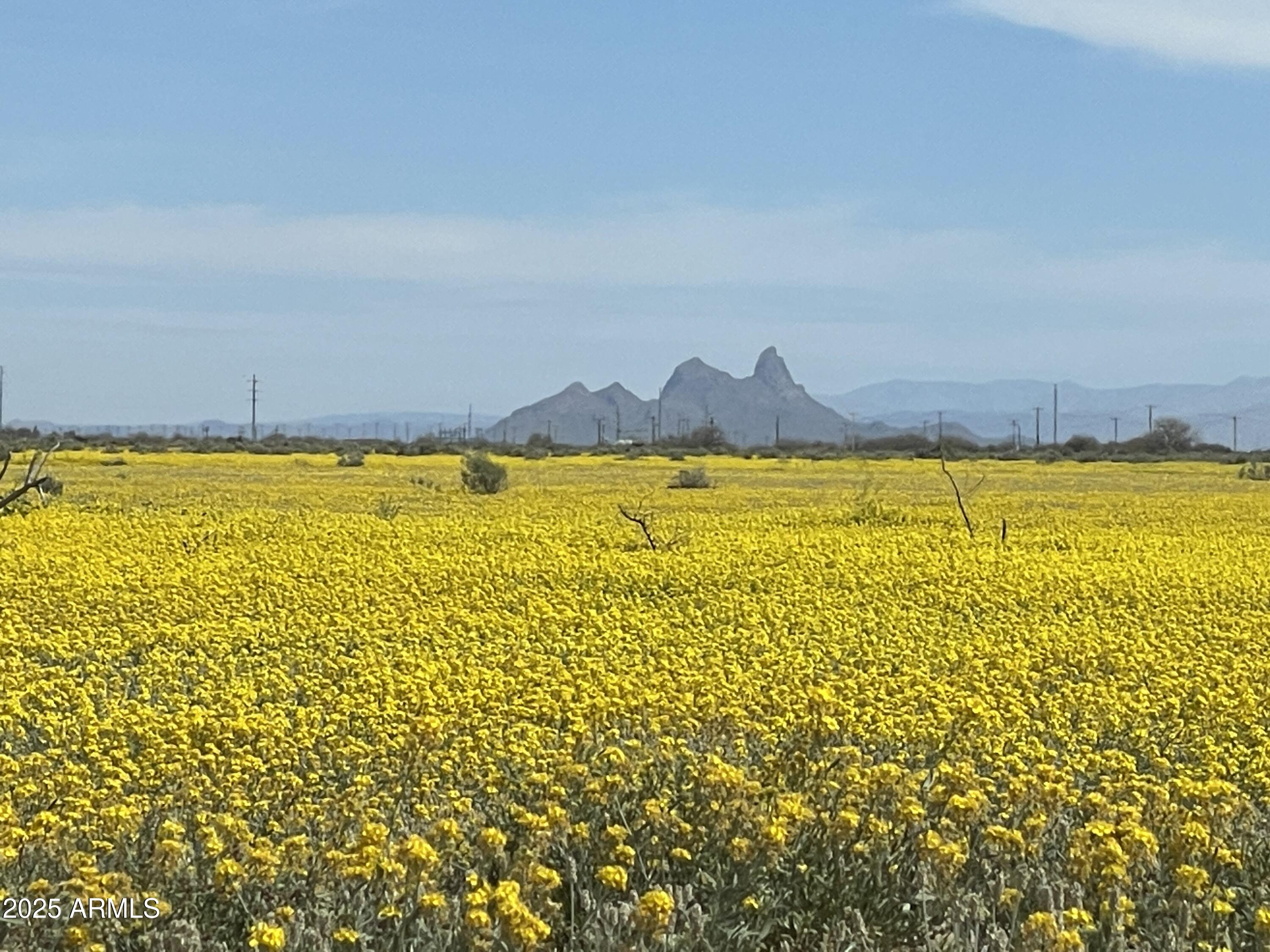 14747 W SCORPIO Avenue