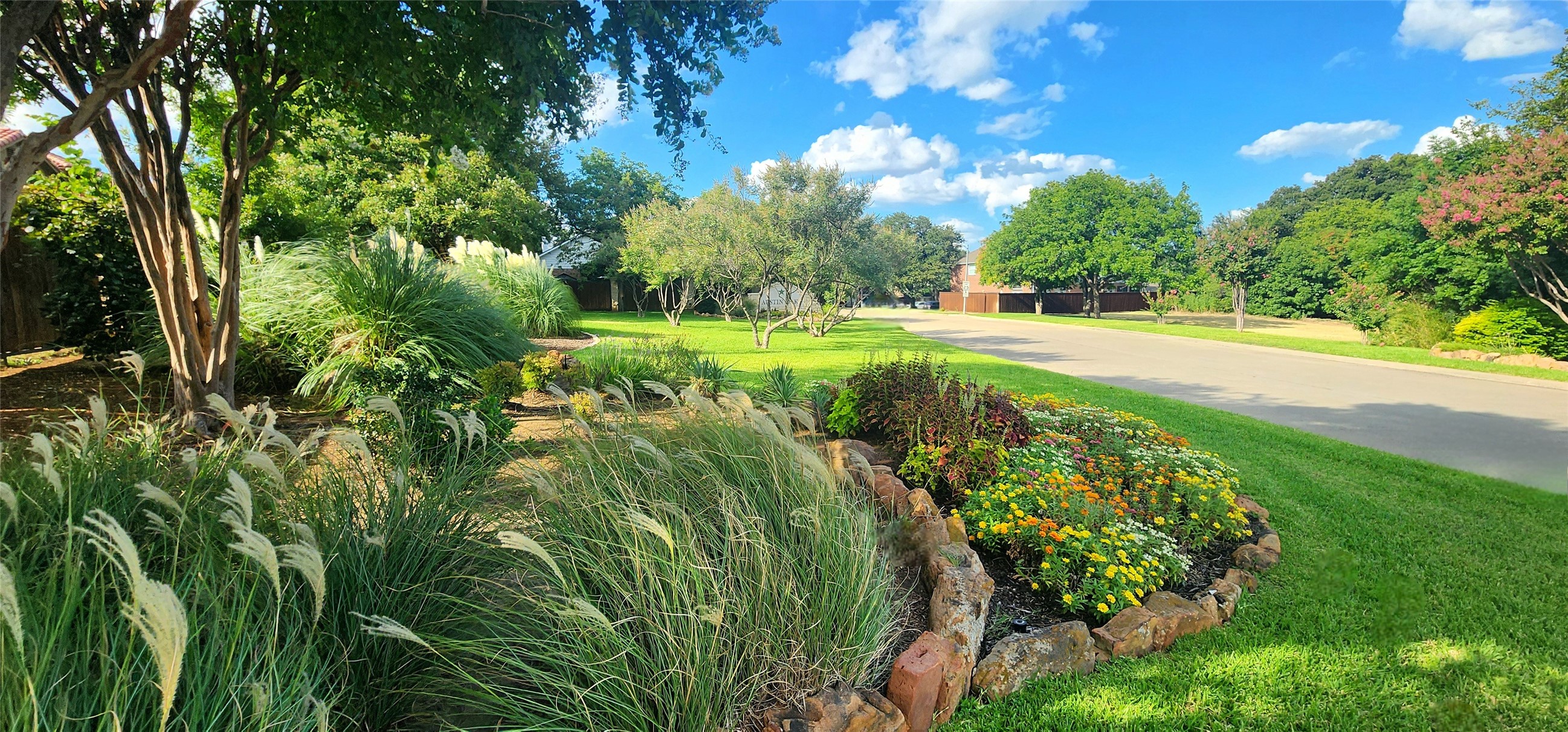 541 Austin Oaks Drive