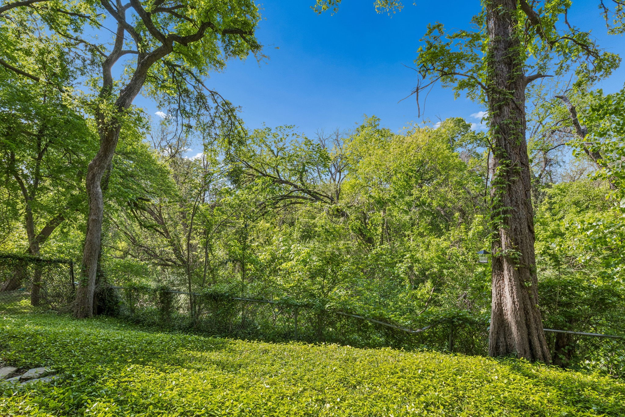 9801 Royal Lane 707