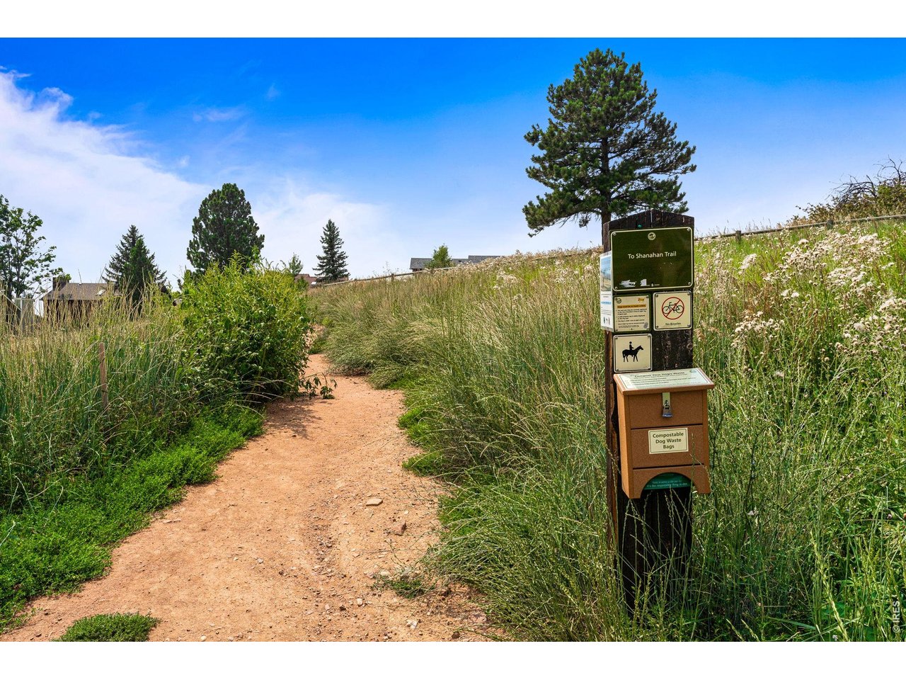 3202 Cripple Creek Trl