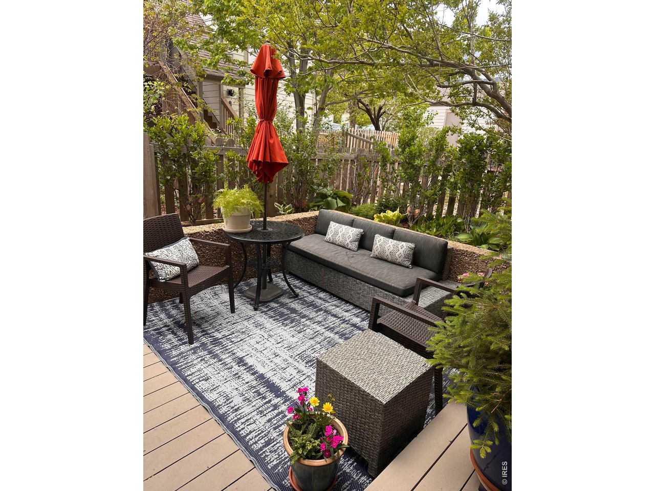 3202 Cripple Creek Trl
