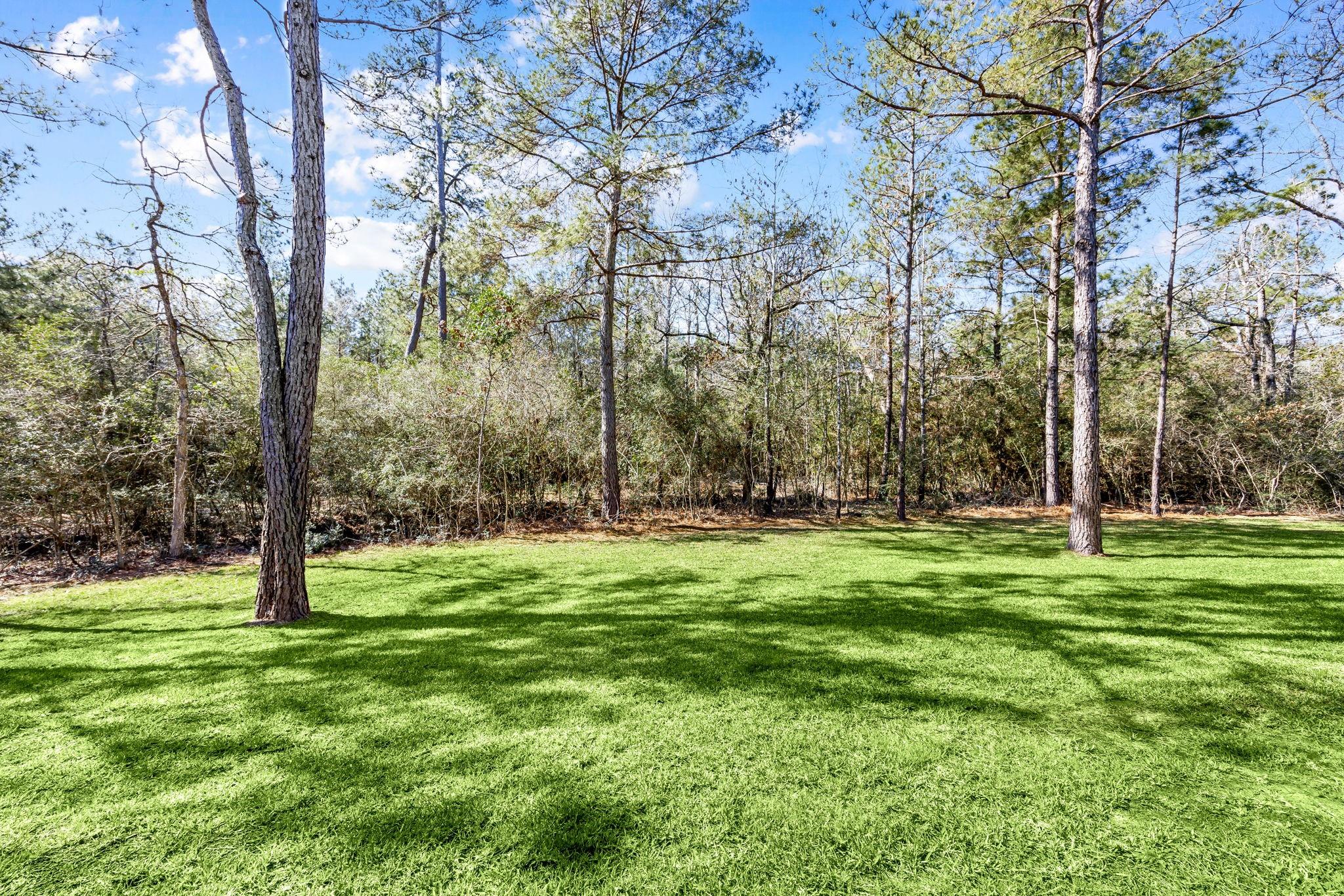 7613 Trinity Pines Drive