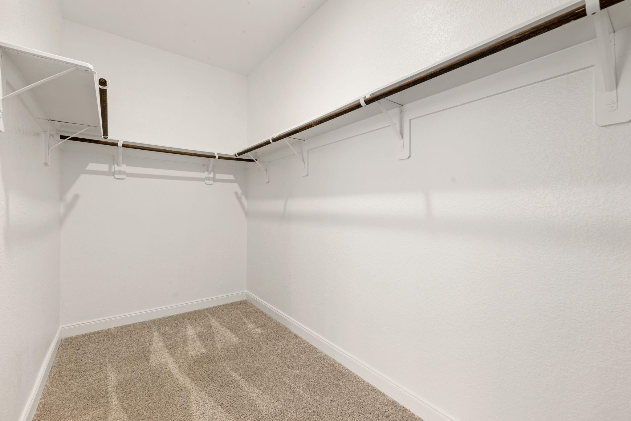 17929 Canopy Trace Court