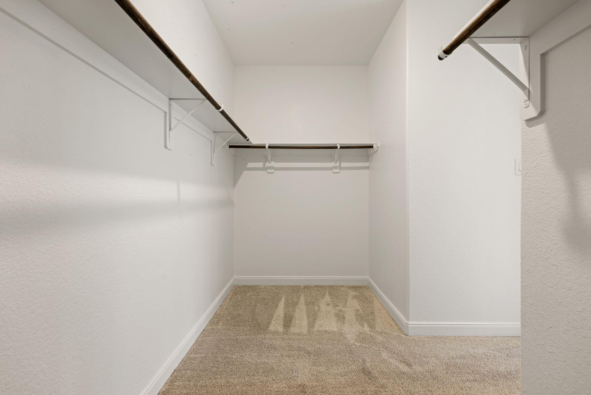 17929 Canopy Trace Court