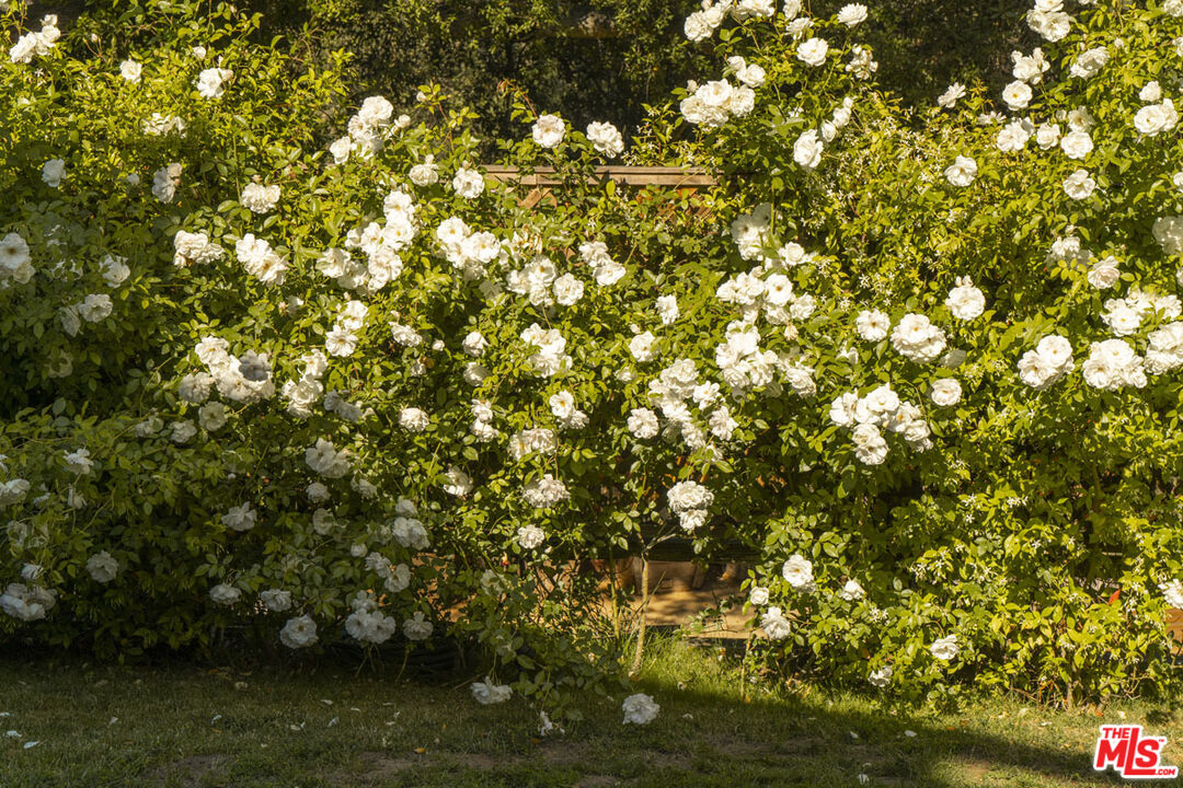 22068 Topanga School Rd