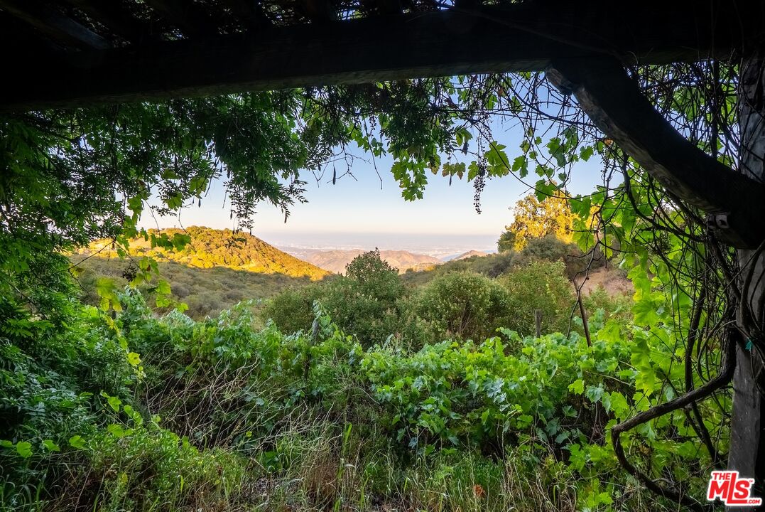 21965 Saddle Peak Rd