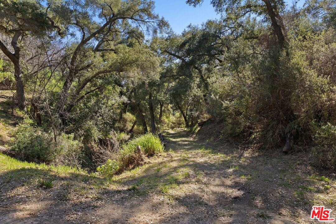 1555 GREENLEAF CANYON RD