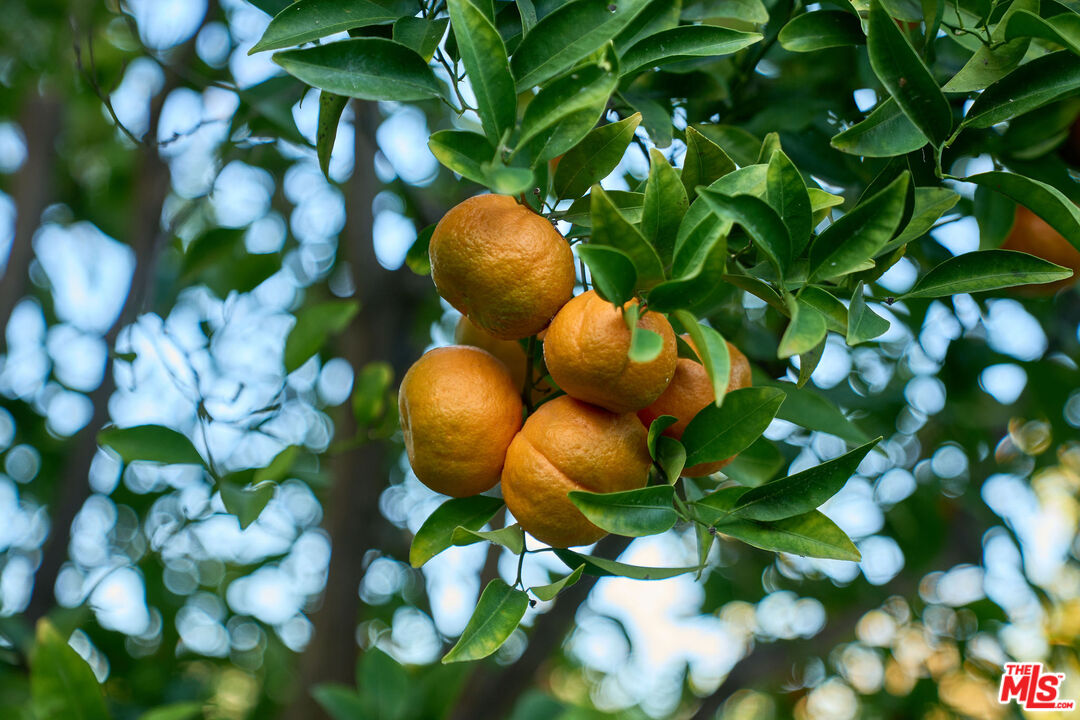 22068 Topanga School Rd