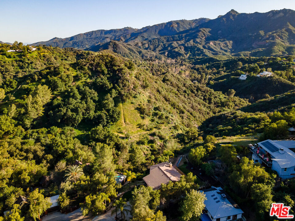 2529 TOPANGA SKYLINE DR