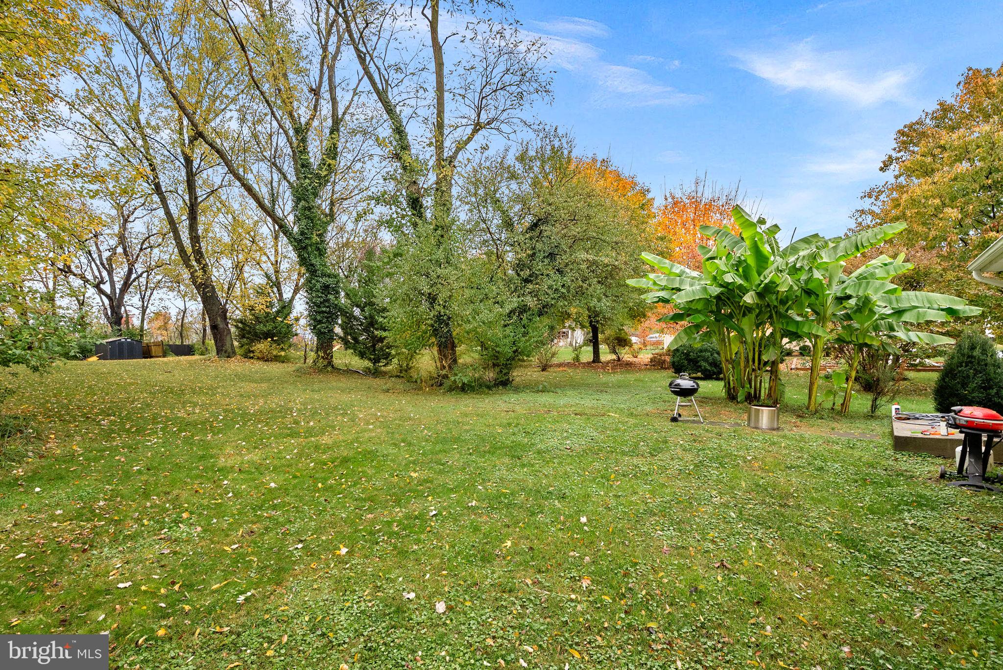 219 JOSEPHINE STREET