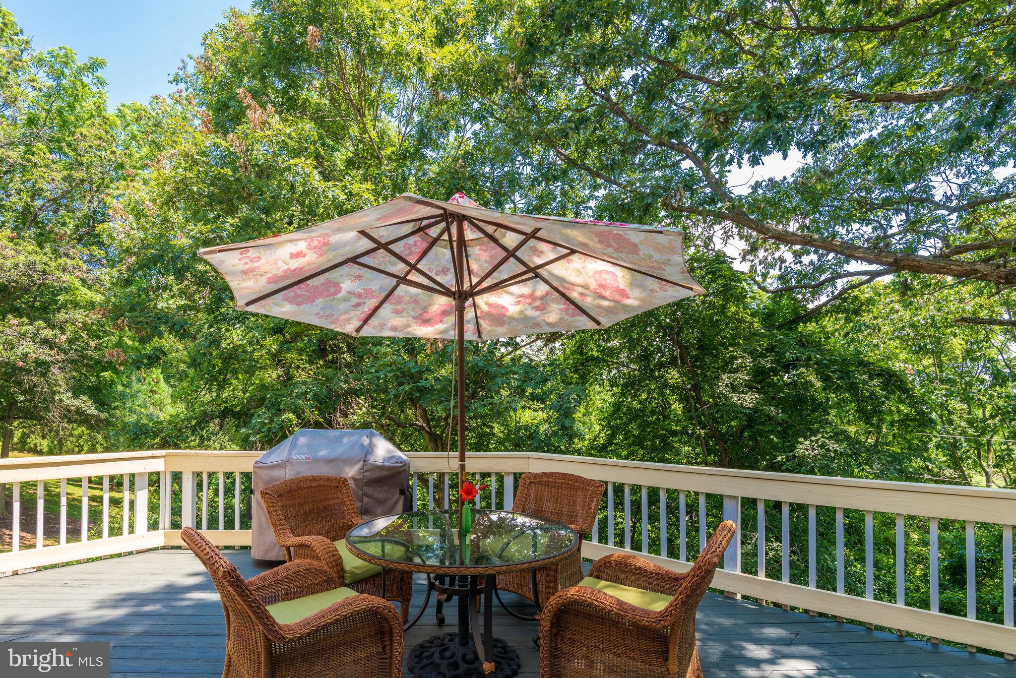 34917 Snickersville Tpke